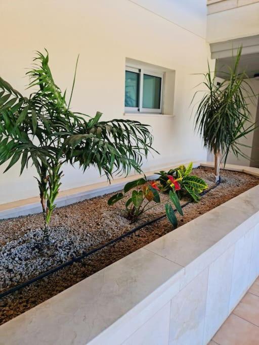 Homely Apt In Modern Building With Pool San Miguel de Abona Kültér fotó